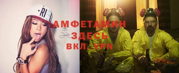 индика Белокуриха