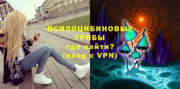 индика Белокуриха