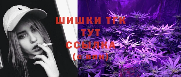 индика Белокуриха