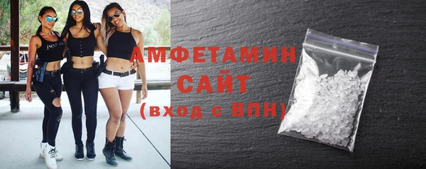 индика Белокуриха