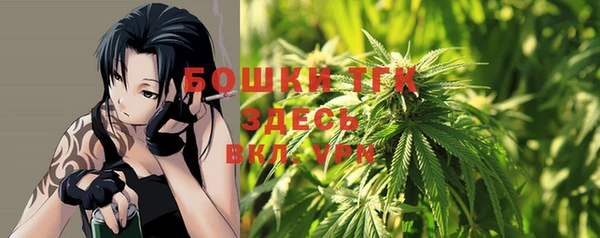 индика Белокуриха