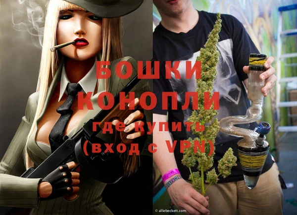 индика Белокуриха