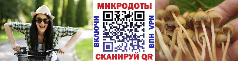 Галлюциногенные грибы мицелий Купить где Кондрово